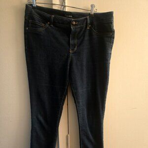 d. Jeans Dark Wash Skinny Jeans – Size 10